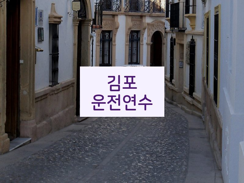 김포운전연수 후기