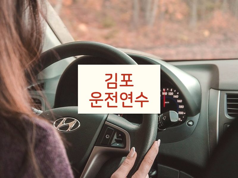 김포운전연수 후기