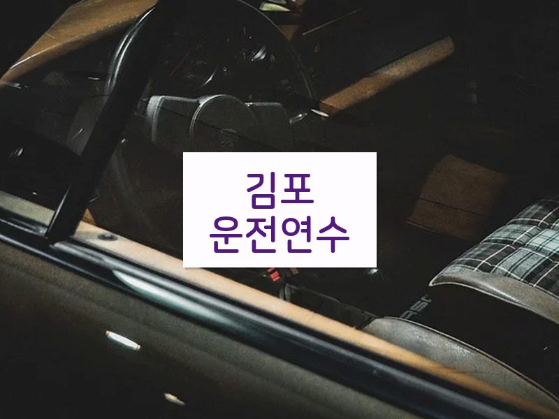 김포운전연수 후기
