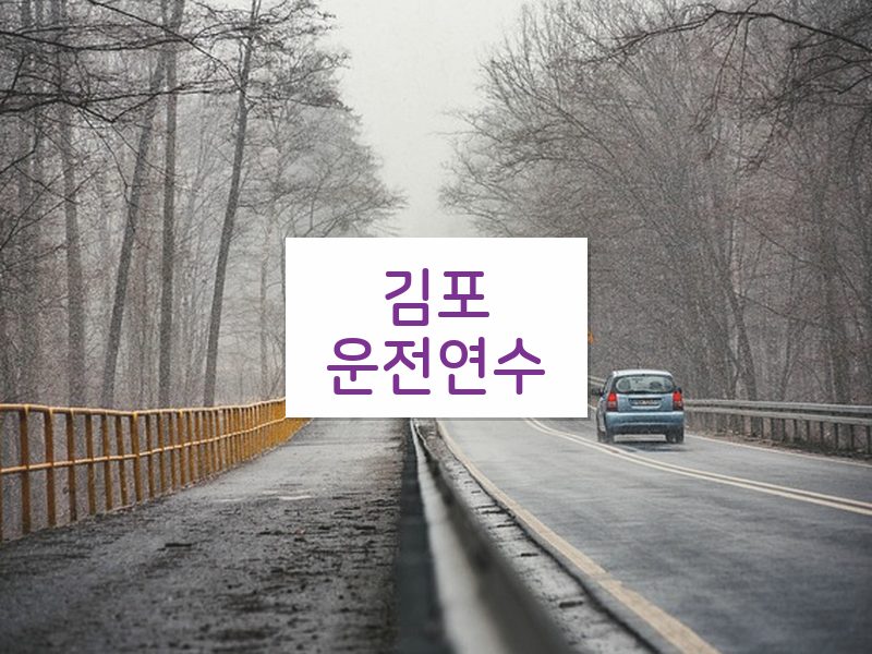 김포운전연수 후기