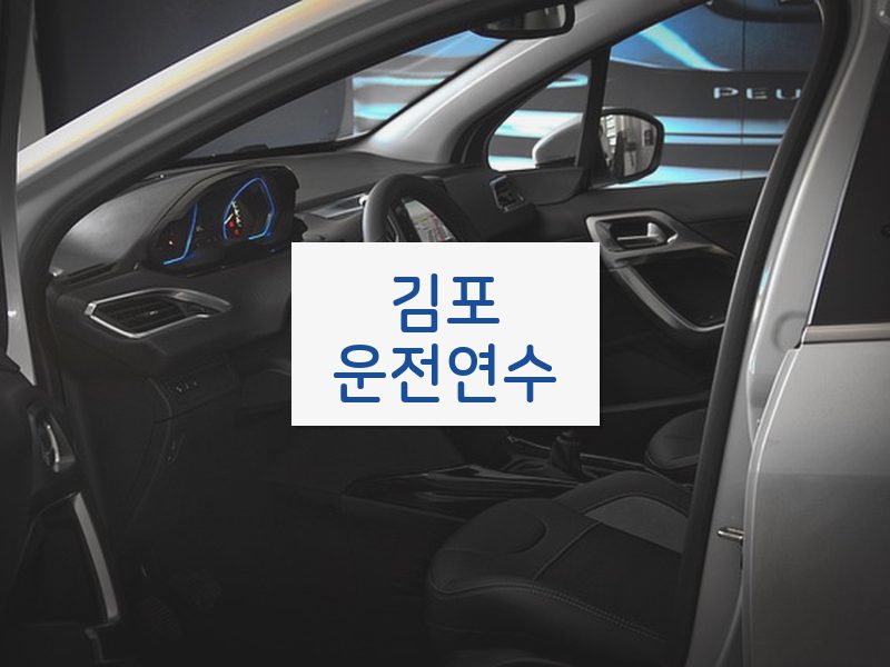 김포운전연수 후기