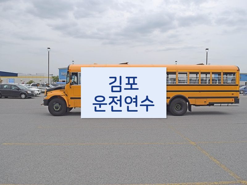 김포운전연수 후기