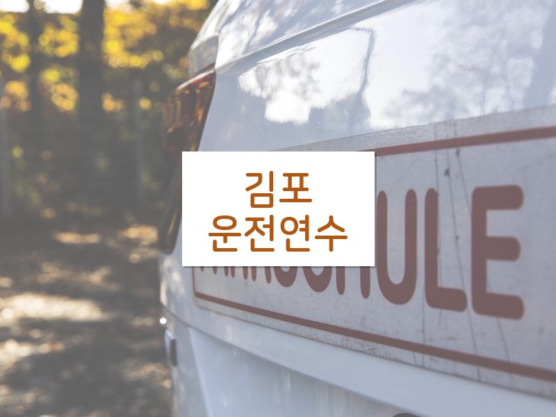 김포운전연수 후기