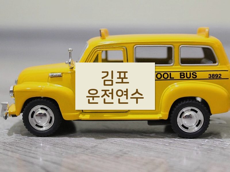 김포운전연수 후기