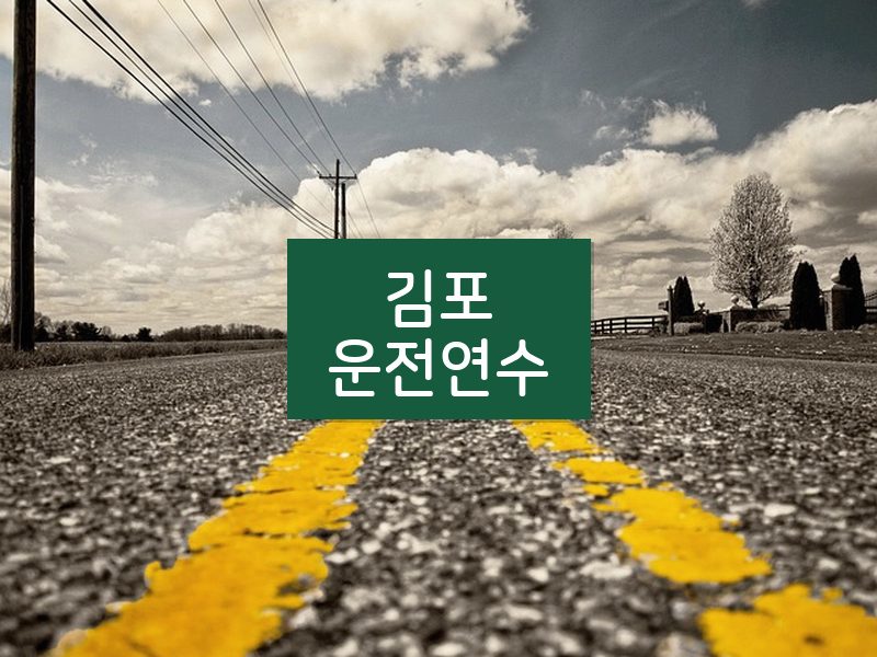 김포운전연수 후기