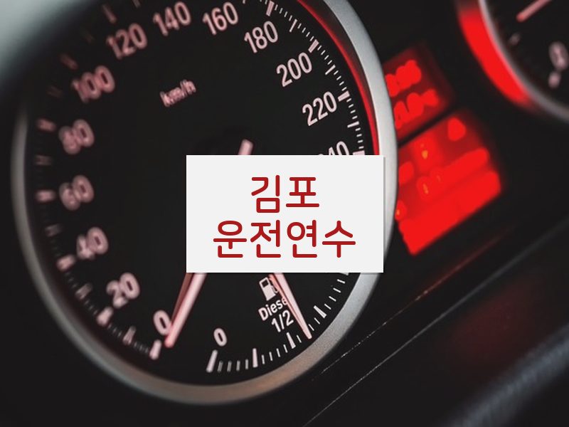 김포운전연수 후기