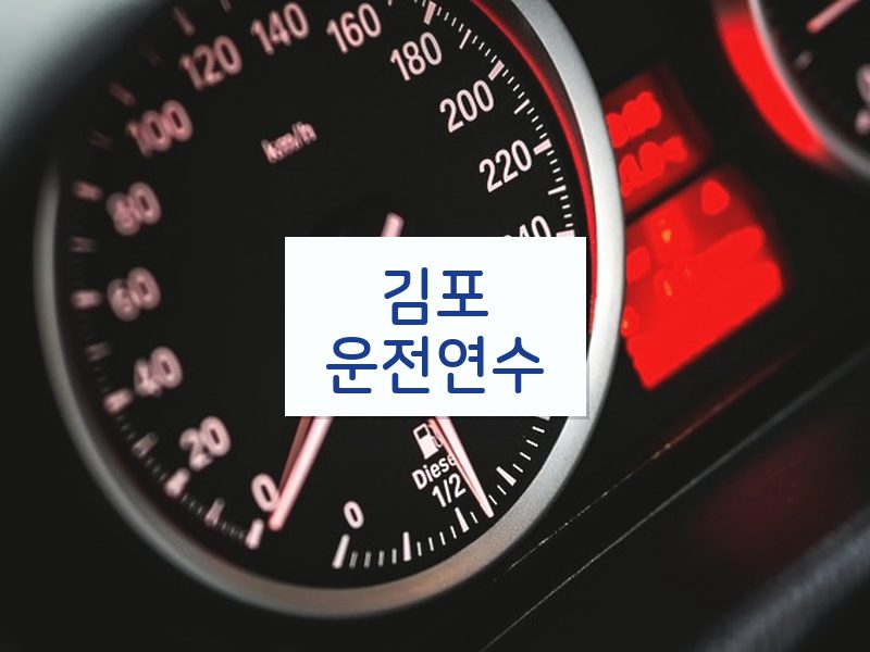 김포운전연수 후기