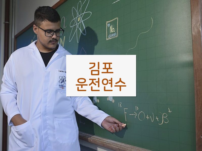 김포운전연수 후기