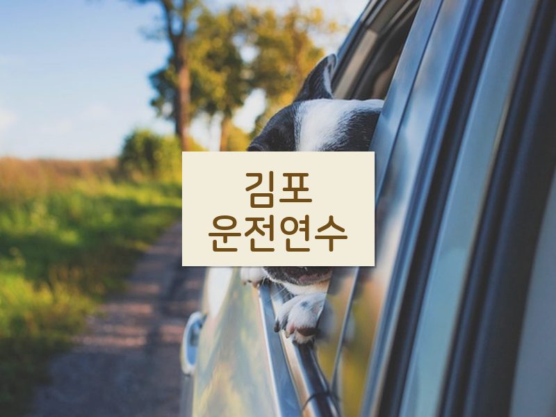 김포운전연수 후기