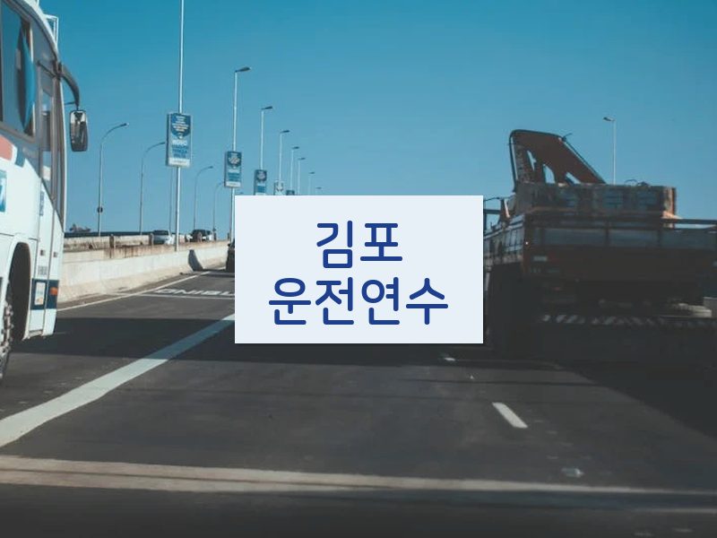 김포운전연수 후기