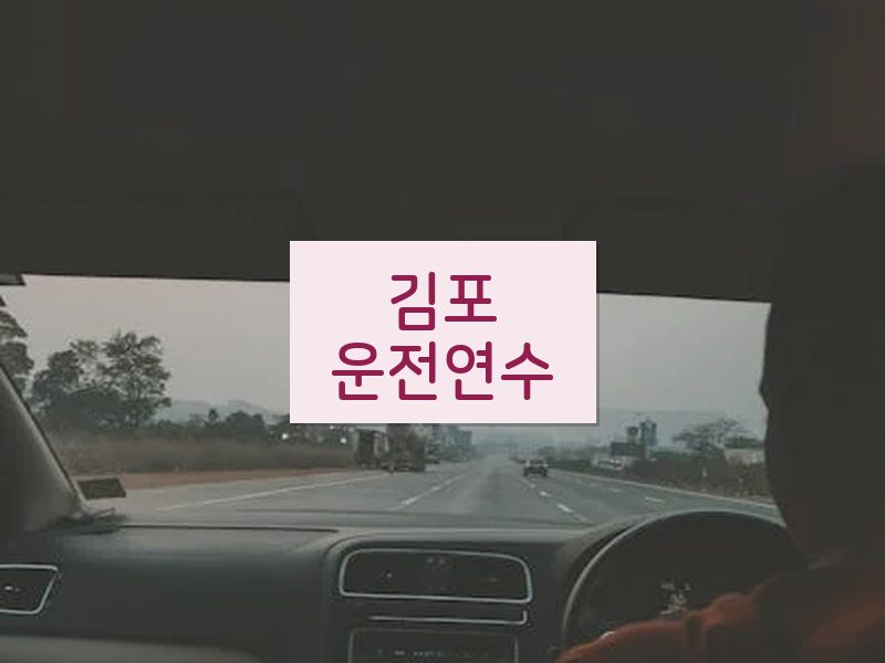 김포운전연수 후기
