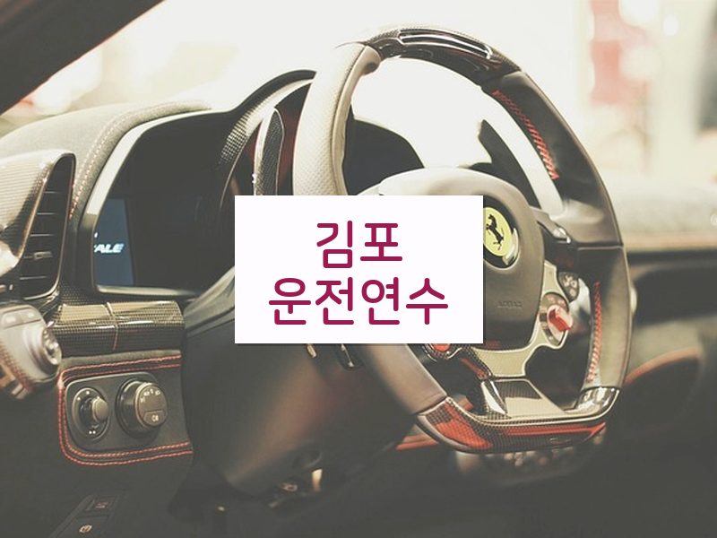 김포운전연수 후기