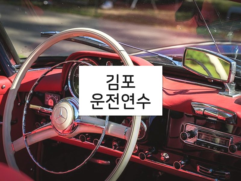 김포운전연수 후기