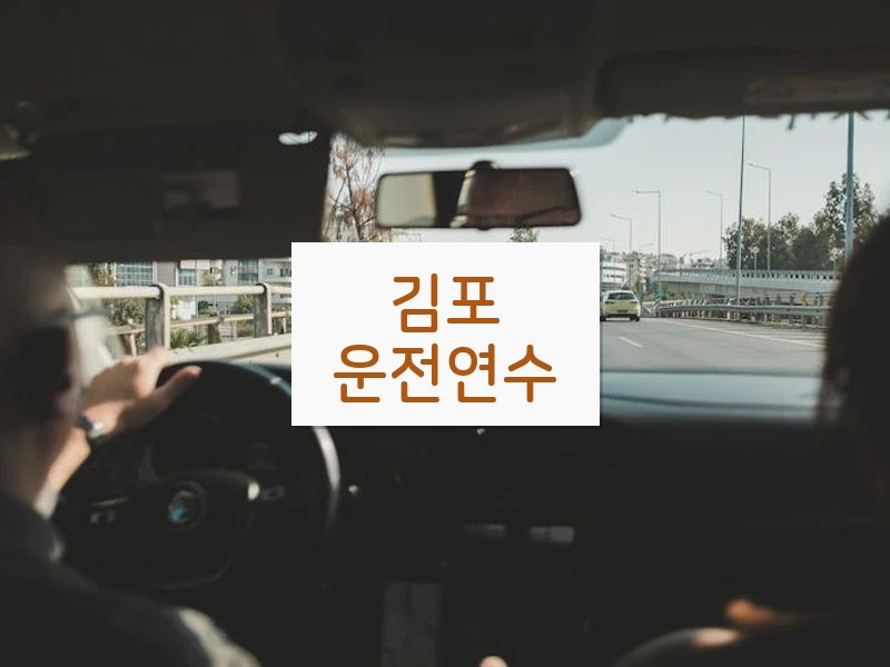 김포운전연수 후기