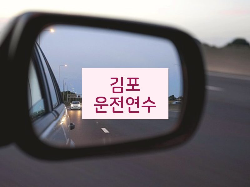 김포운전연수 후기