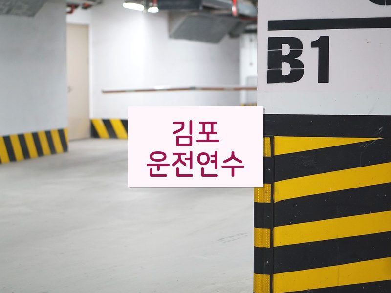 김포운전연수 후기
