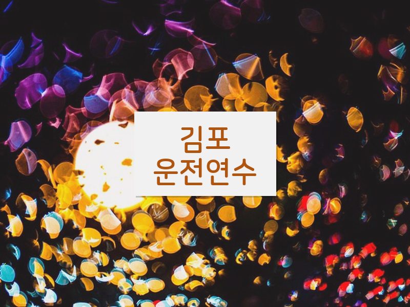 김포운전연수 후기