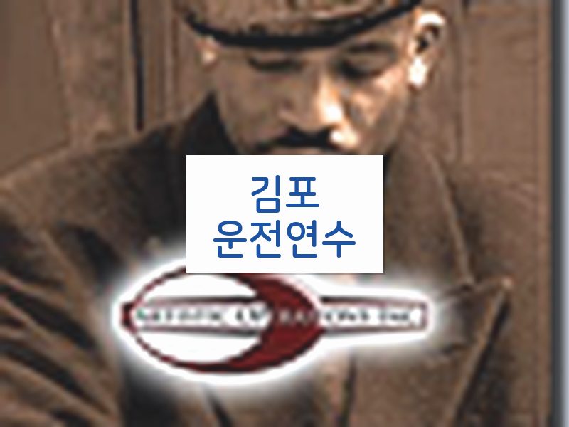 김포운전연수 후기