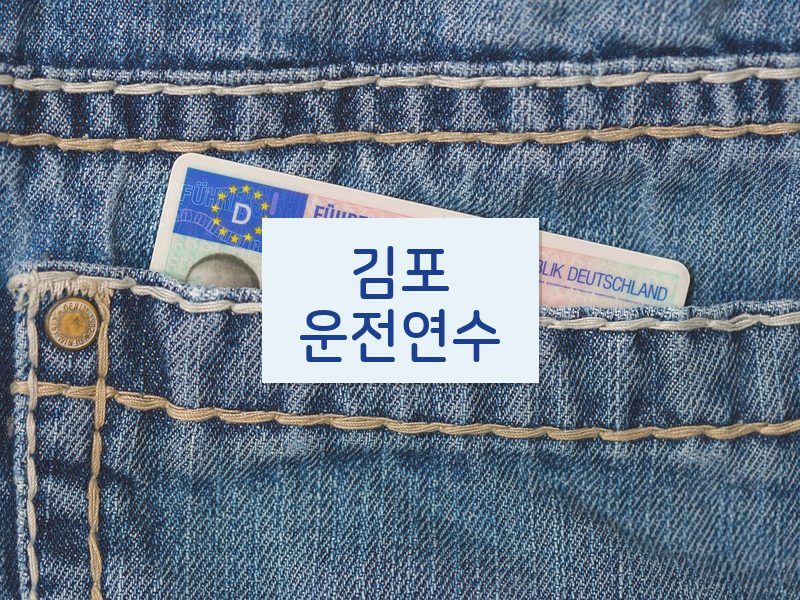 김포운전연수 후기