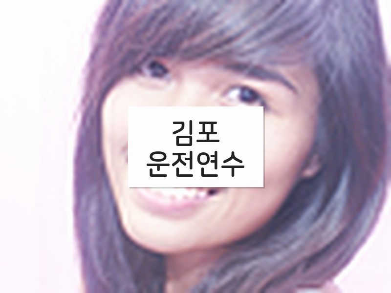 김포운전연수 후기