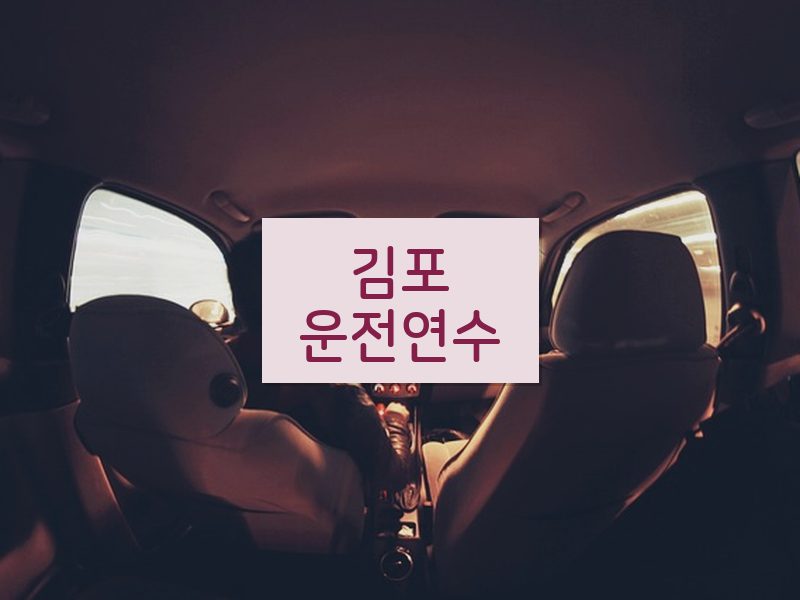 김포운전연수 후기