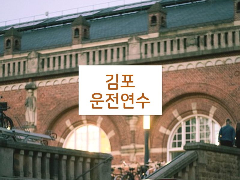 김포운전연수 후기