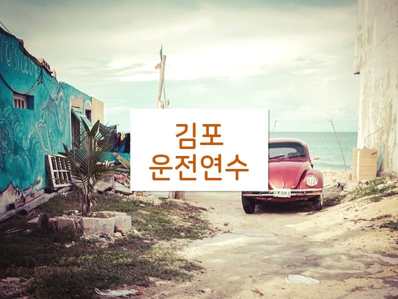 김포운전연수 후기