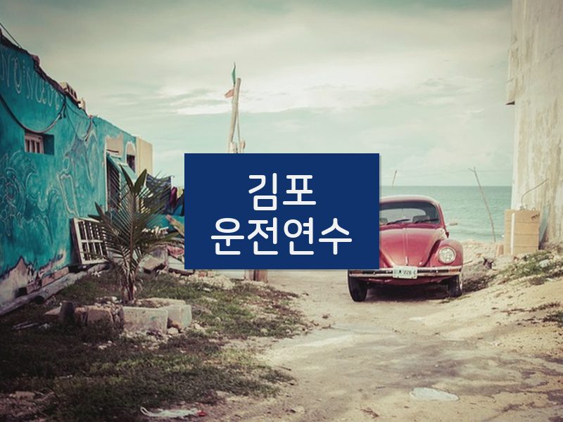 김포운전연수 후기