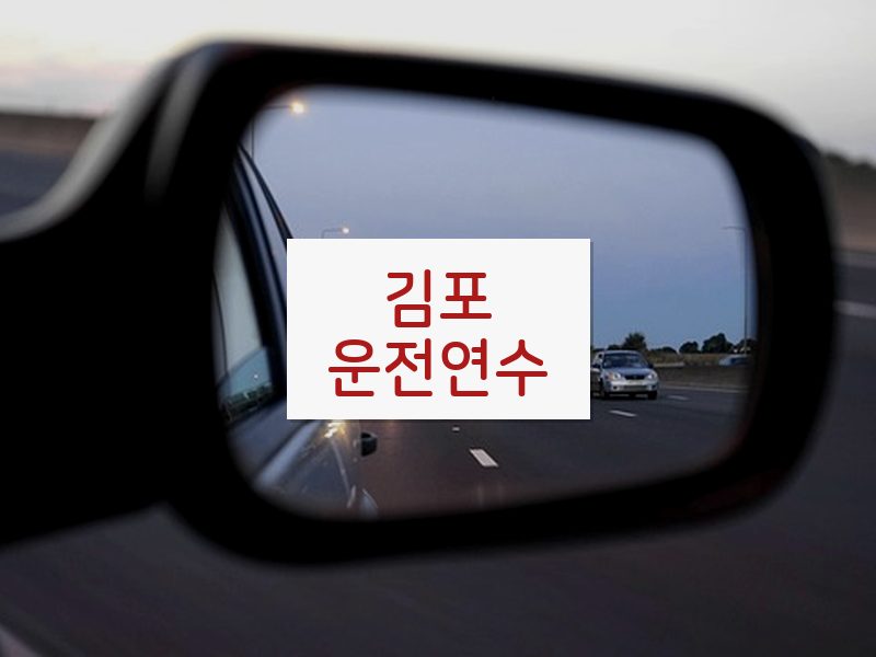 김포운전연수 후기