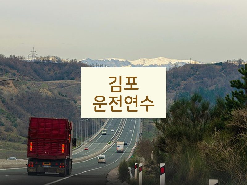 김포운전연수 후기