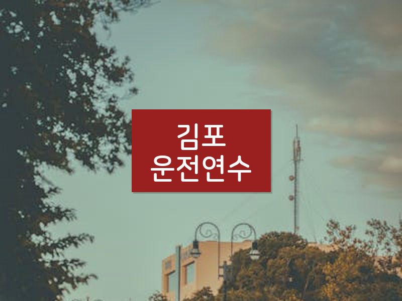 김포운전연수 후기