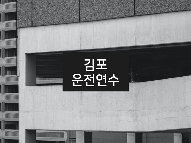 김포운전연수 후기