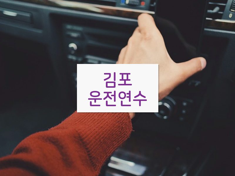 김포운전연수 후기
