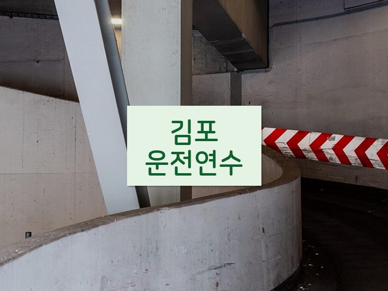 김포운전연수 후기