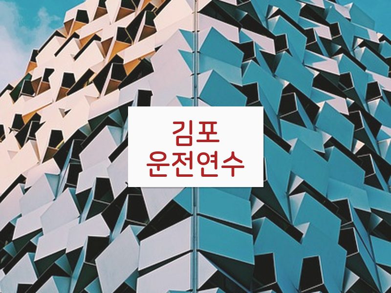 김포운전연수 후기