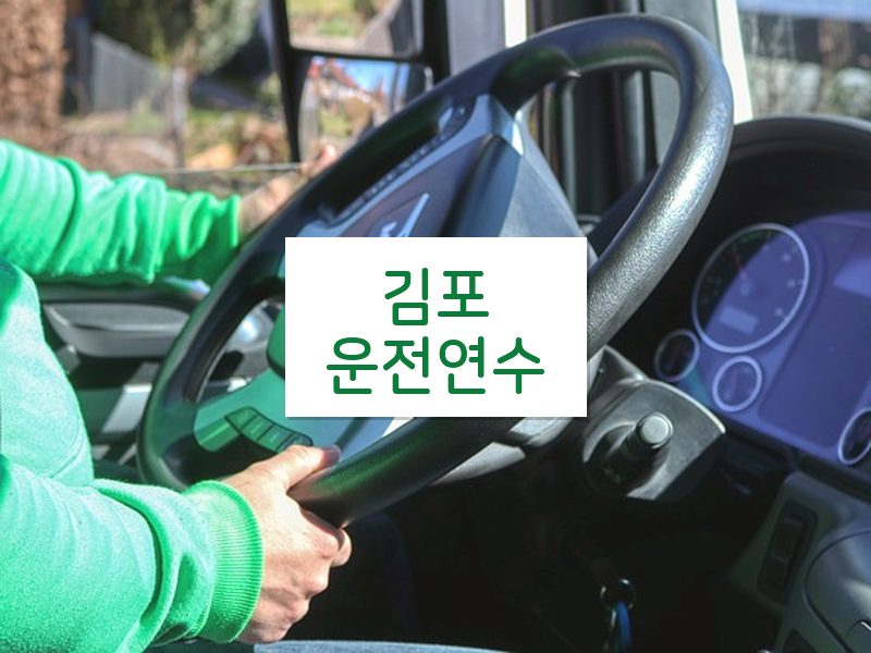 김포운전연수 후기