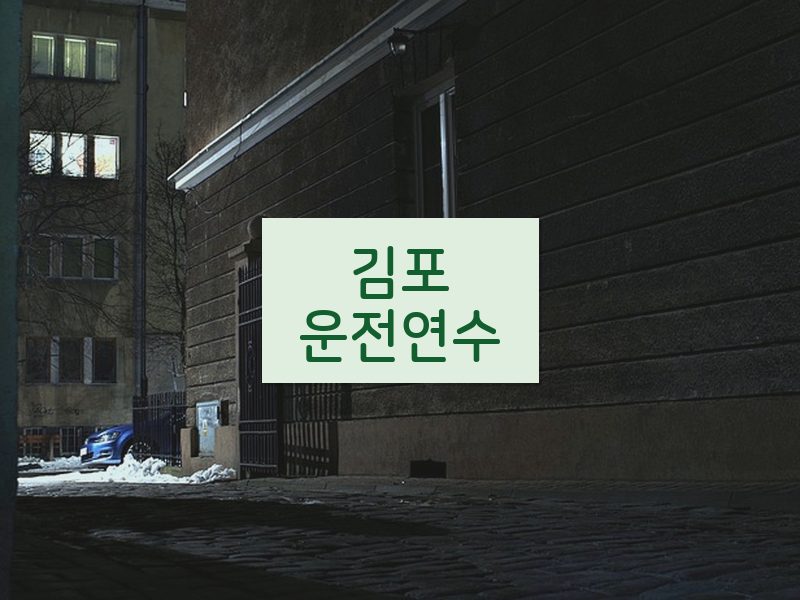 김포운전연수 후기