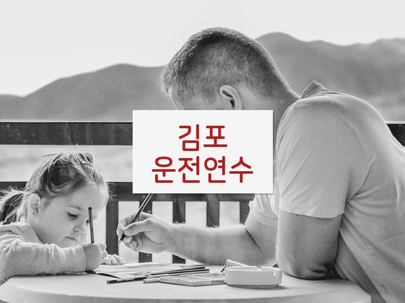 김포운전연수 후기