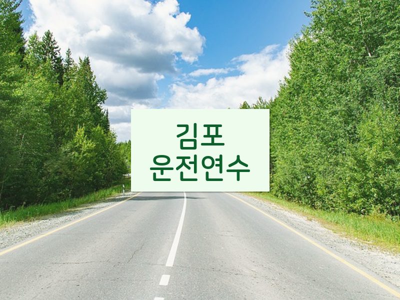 김포운전연수 후기