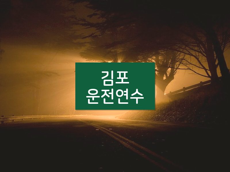김포운전연수 후기