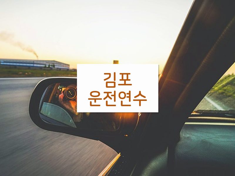 김포운전연수 후기