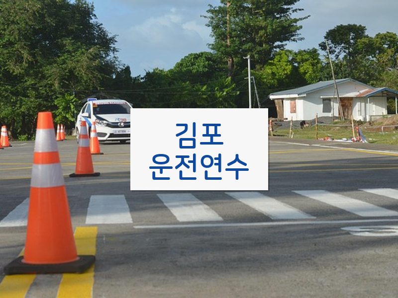김포운전연수 후기