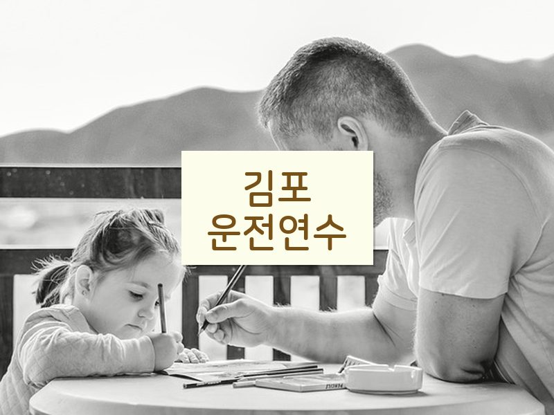 김포운전연수 후기