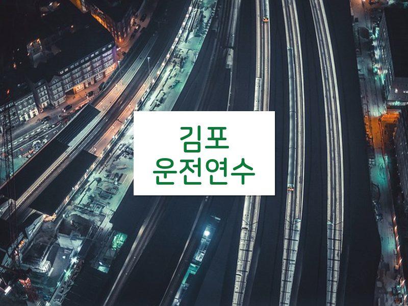 김포운전연수 후기