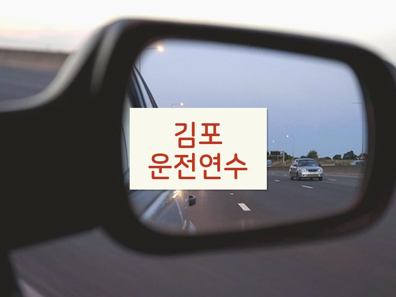 김포운전연수 후기