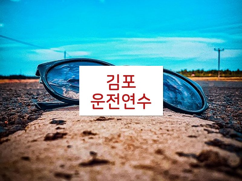 김포운전연수 후기