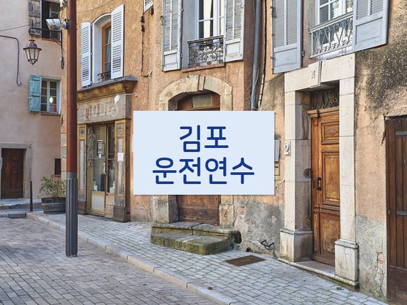 김포운전연수 후기