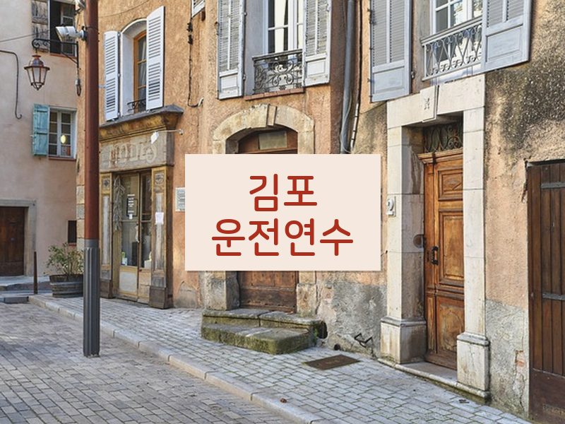 김포운전연수 후기