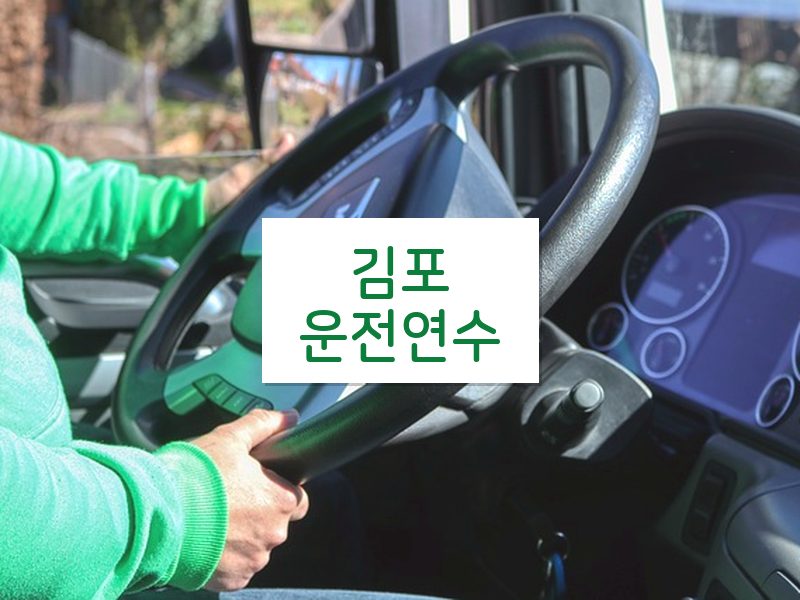 김포운전연수 후기
