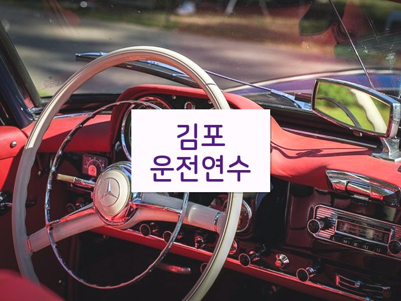 김포운전연수 후기